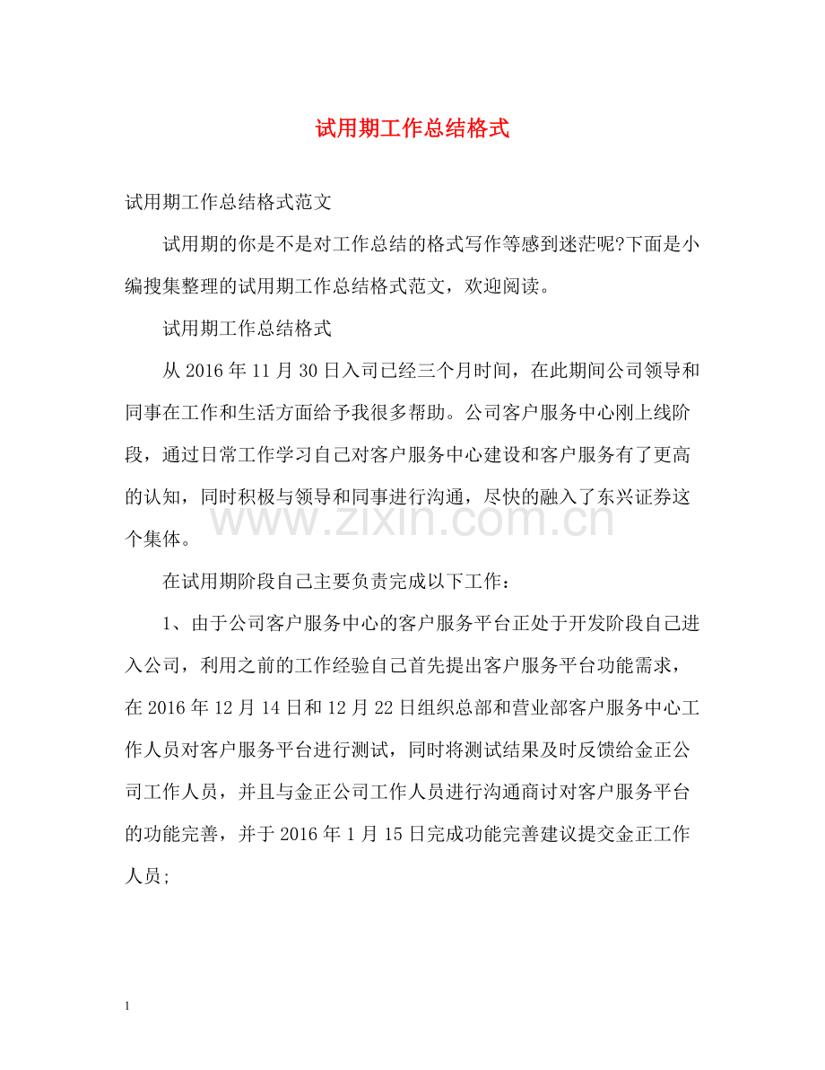 试用期工作总结格式2.docx_第1页