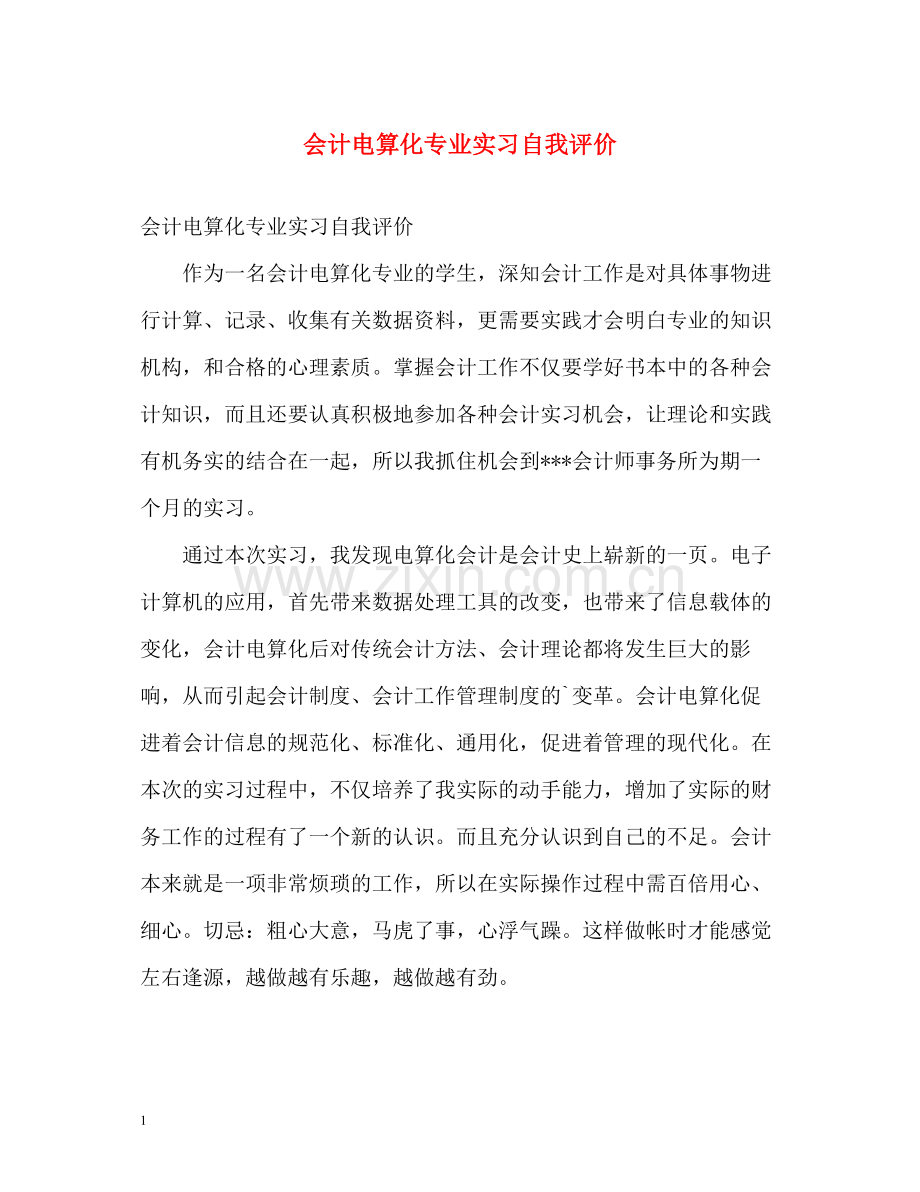 会计电算化专业实习自我评价.docx_第1页