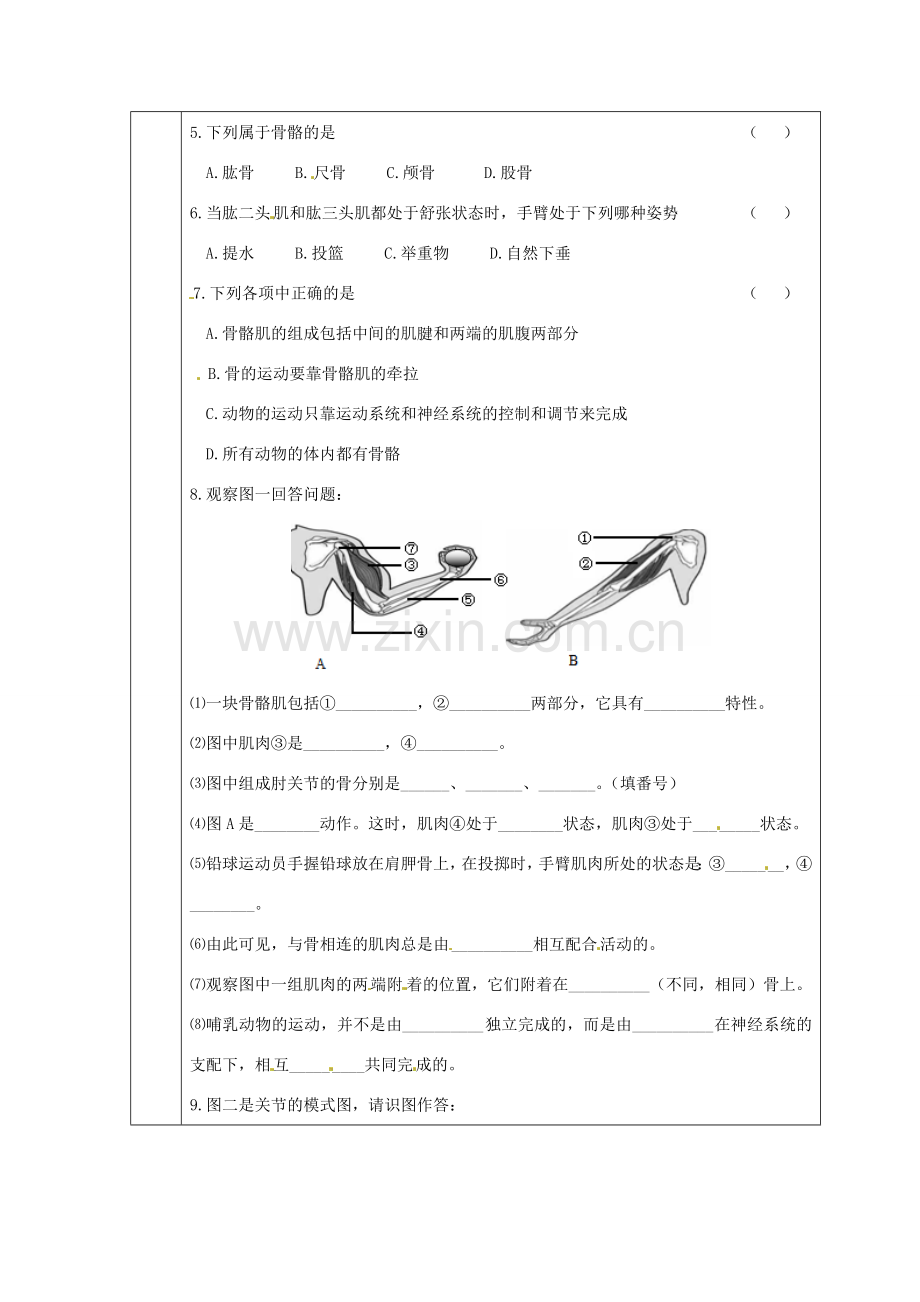 八年级生物上册 第5单元第2章第1节动物的运动教案 人教新课标版.doc_第3页