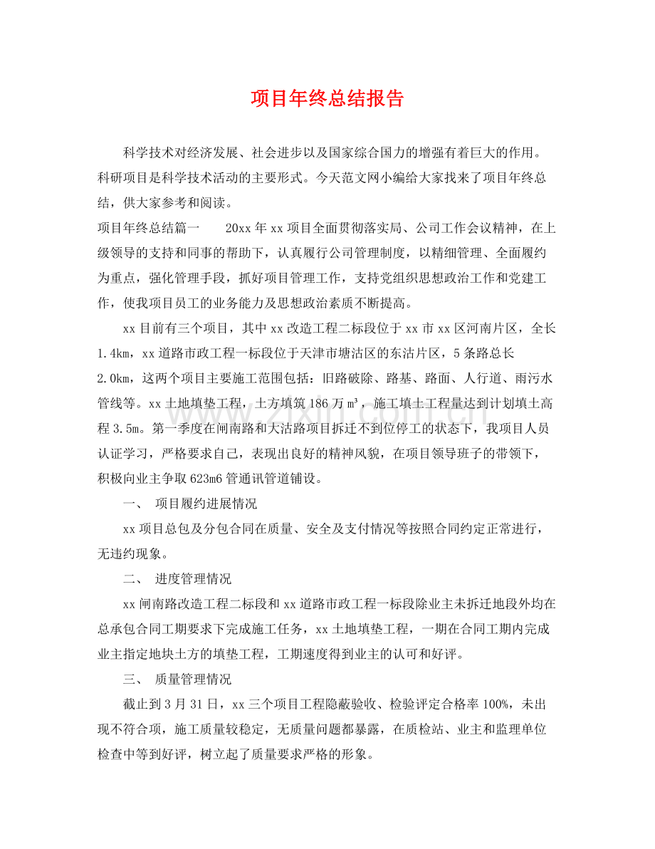 项目年终总结报告 .docx_第1页