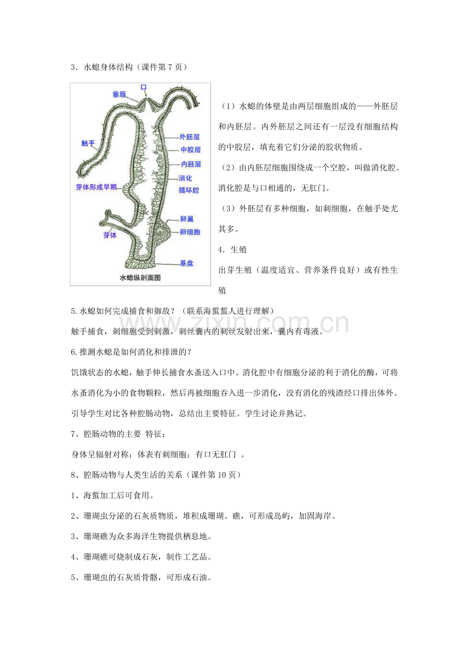 八年级生物上册 5.1.1《腔肠动物和扁形动物》教学设计 （新版）新人教版-（新版）新人教版初中八年级上册生物教案.doc_第3页