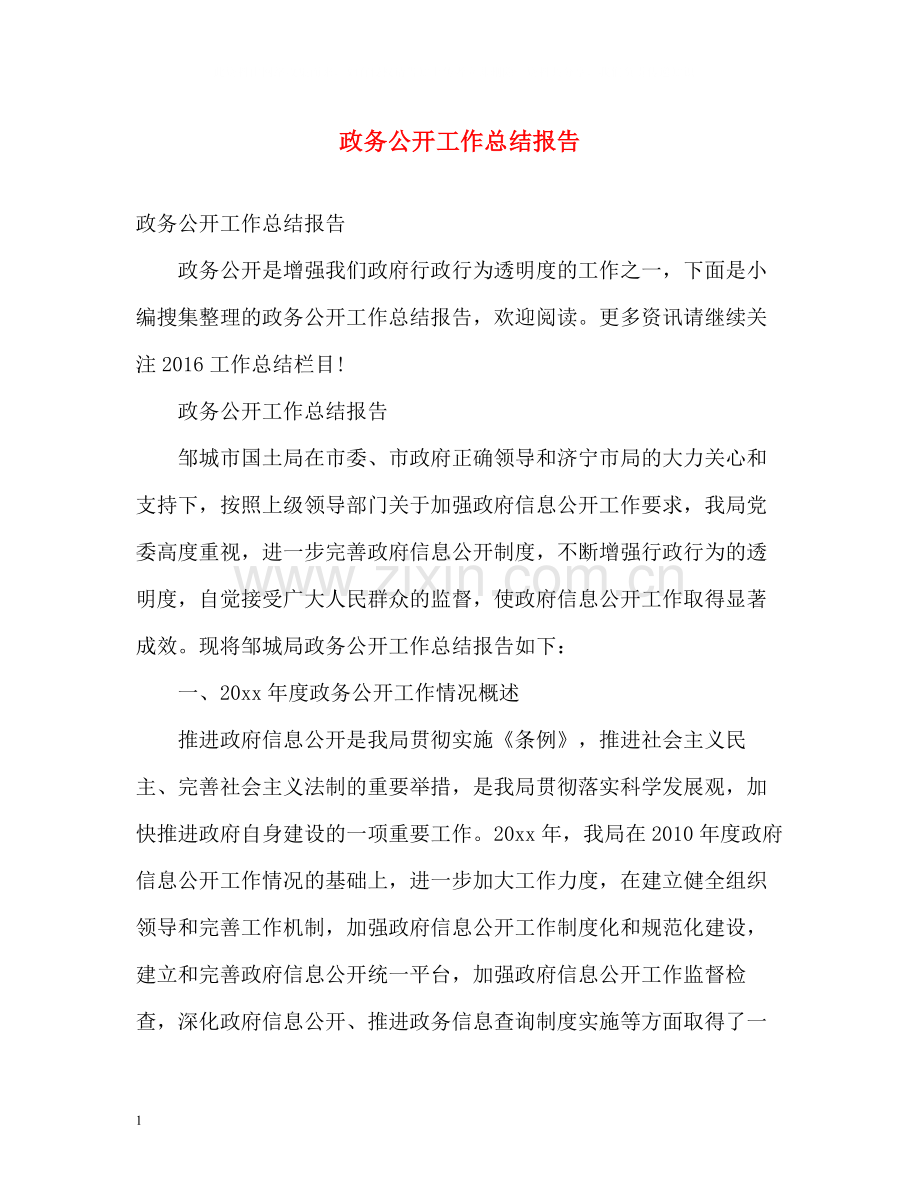 政务公开工作总结报告.docx_第1页