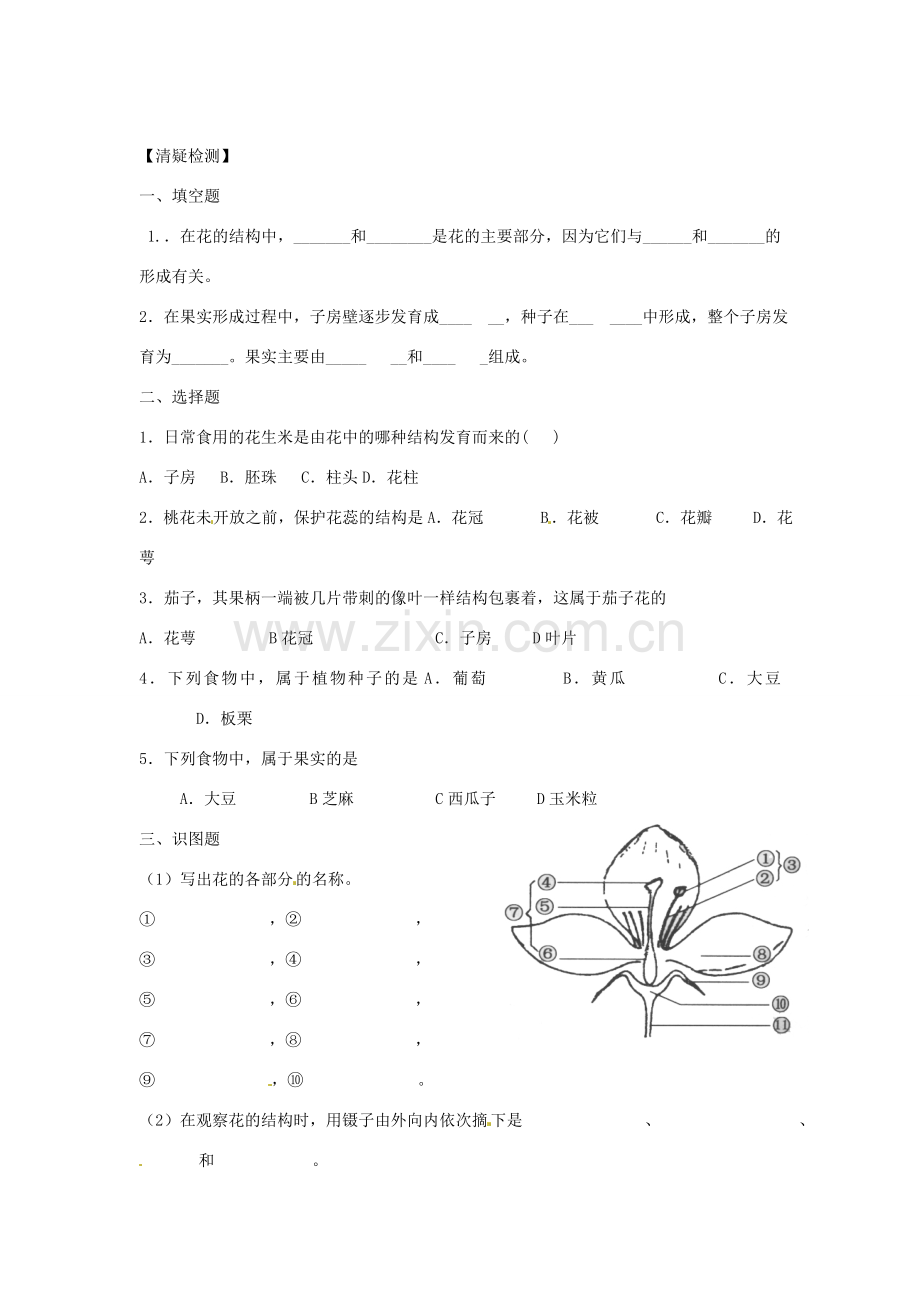 辽宁省辽阳市第九中学七年级生物上册《3.5.5 植物的开花和结果》学案（无答案） 新人教版.doc_第2页