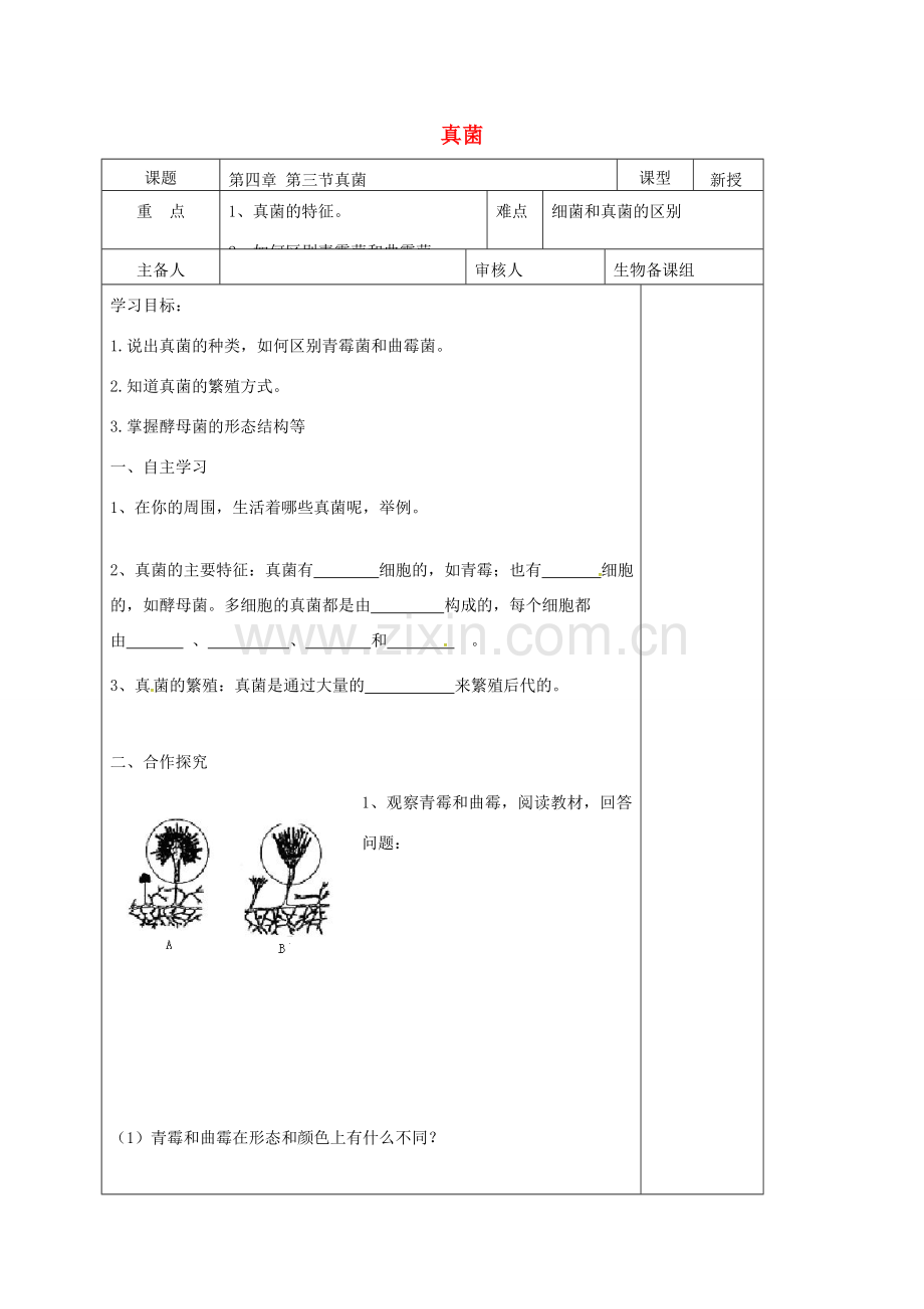 八年级生物上册 5.4.3 真菌教案 （新版）新人教版-（新版）新人教版初中八年级上册生物教案.doc_第1页