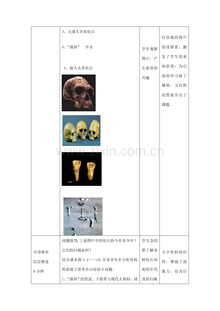 -八年级生物下册 5.2.2 人类的进化优秀教案 济南版-济南版初中八年级下册生物教案.doc_第3页