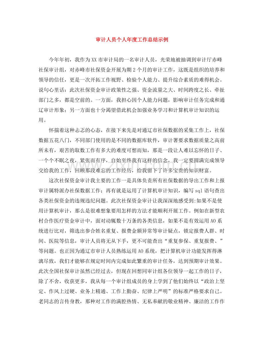 审计人员个人年度工作总结示例.docx_第1页