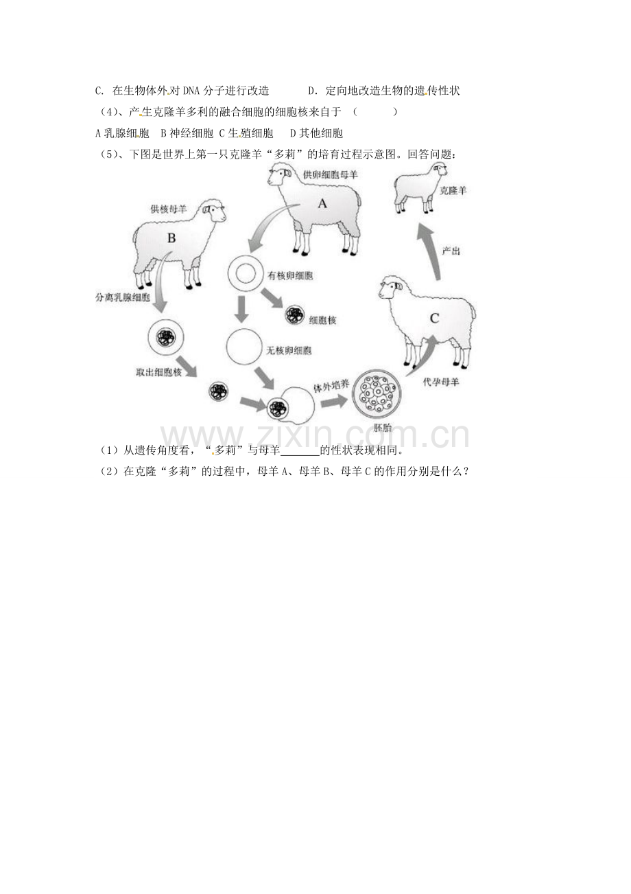 江苏省东台市唐洋镇中学八年级生物上册《21.1 现代生物技术的应用》学案（无答案） 苏教版.doc_第2页