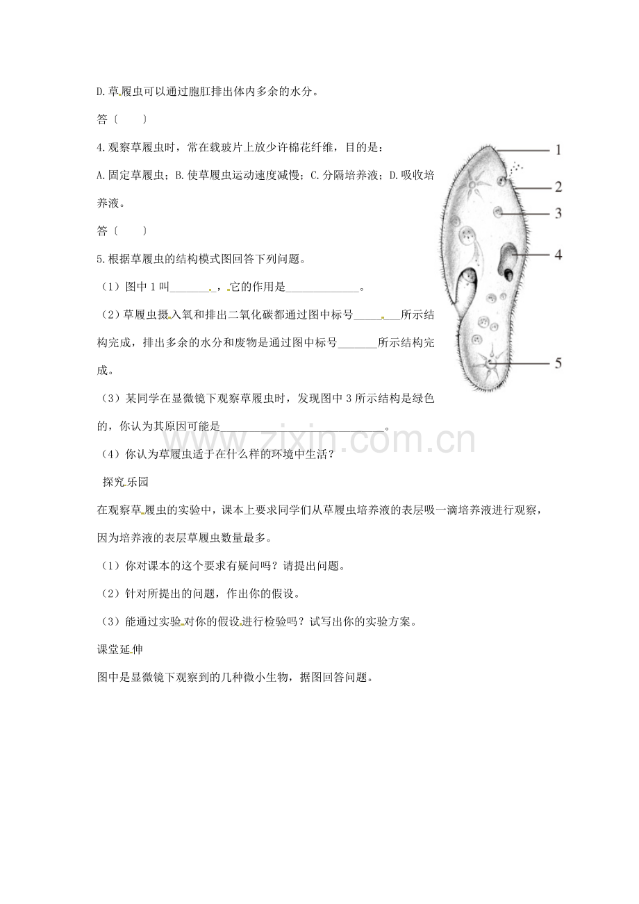 七年级生物上册 第三节　只有一个细胞的生物体解析与测评教案人教版.doc_第2页