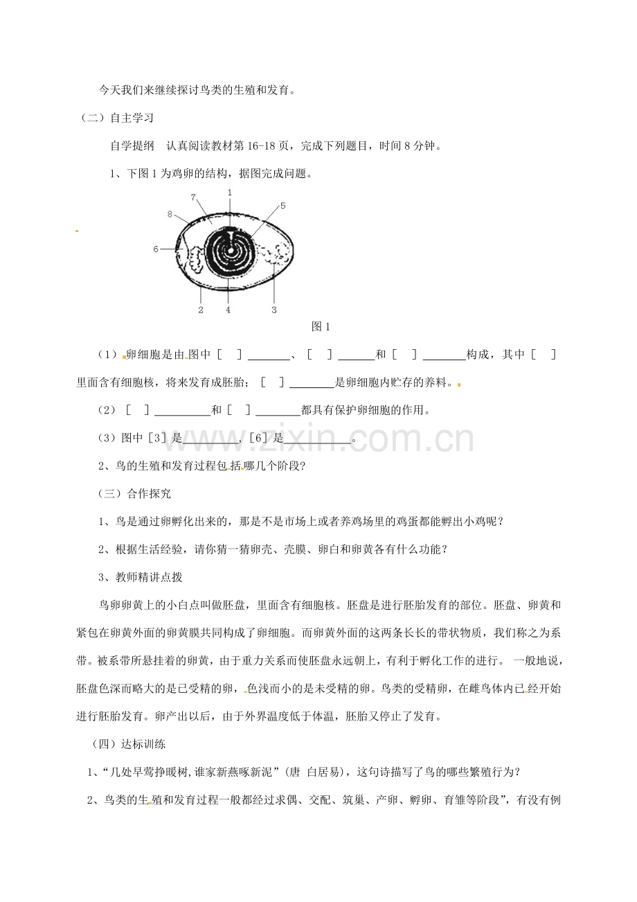 八年级生物下册 1.4 鸟的生殖和发育教案 新人教版-新人教版初中八年级下册生物教案.doc_第2页