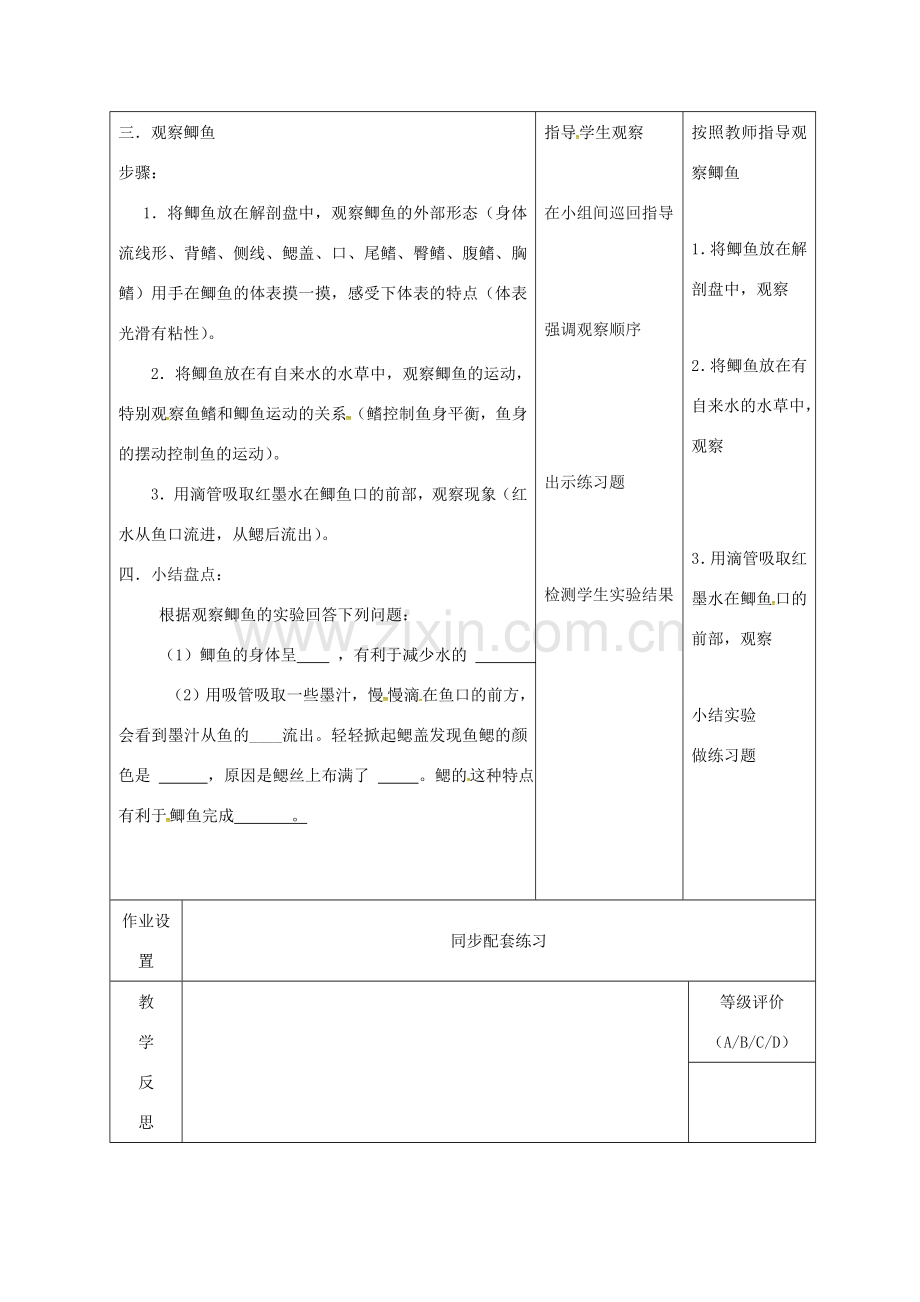 八年级生物上册 14.2 千姿百态的动物世界（第3课时）教案 （新版）苏教版-（新版）苏教版初中八年级上册生物教案.doc_第3页