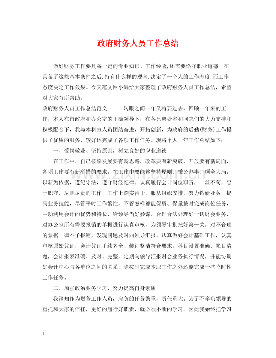 政府财务人员工作总结.docx_第1页