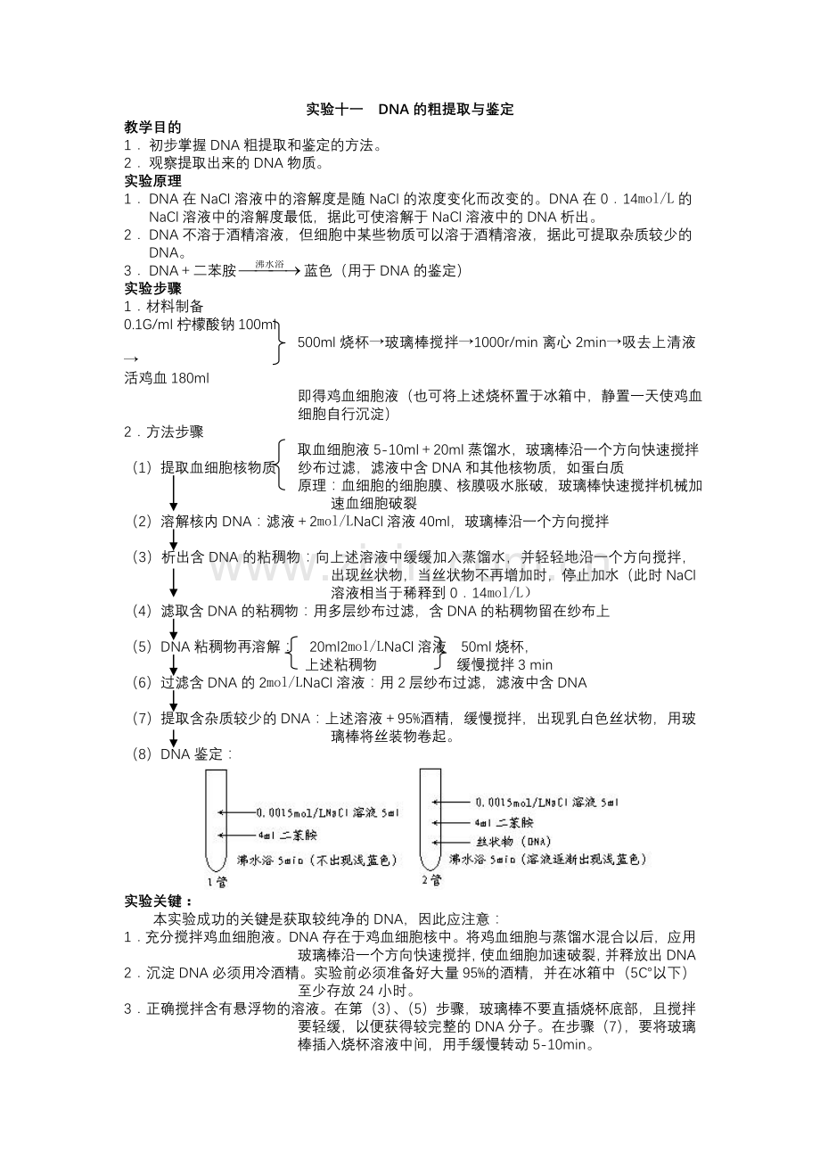 实验十、DNA的粗提取与鉴定.doc_第1页