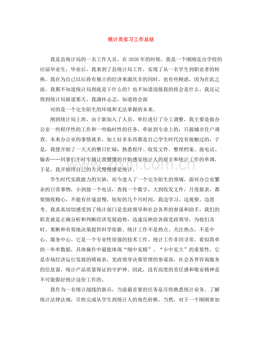 统计员实习工作总结.docx_第1页