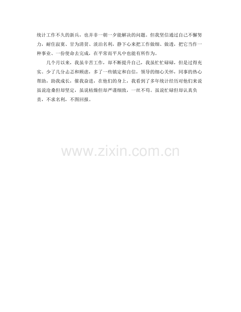 统计员实习工作总结.docx_第2页