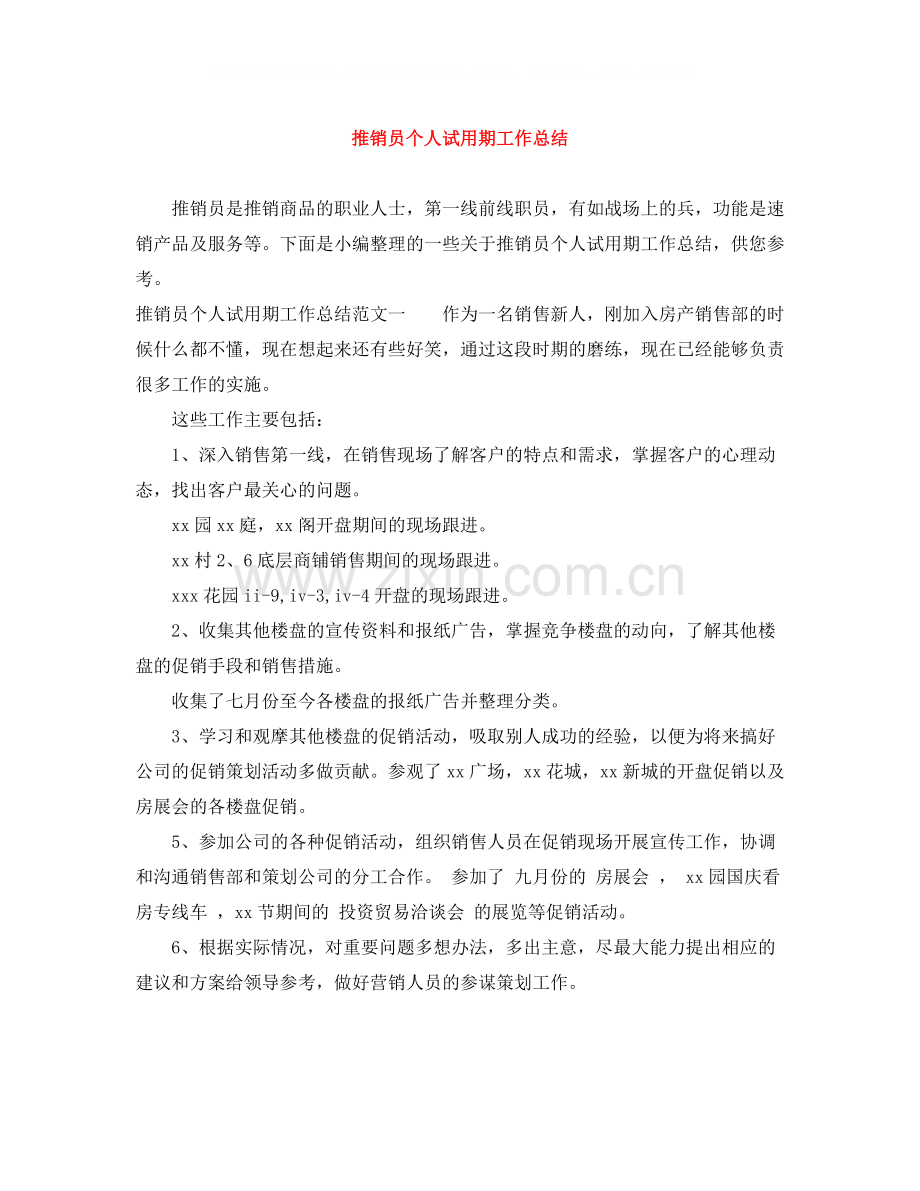 推销员个人试用期工作总结.docx_第1页