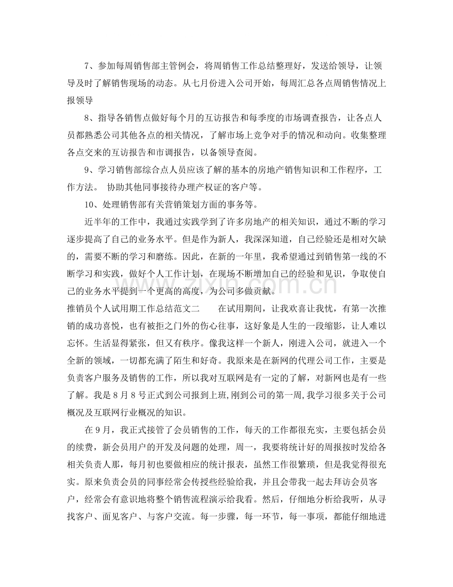 推销员个人试用期工作总结.docx_第2页