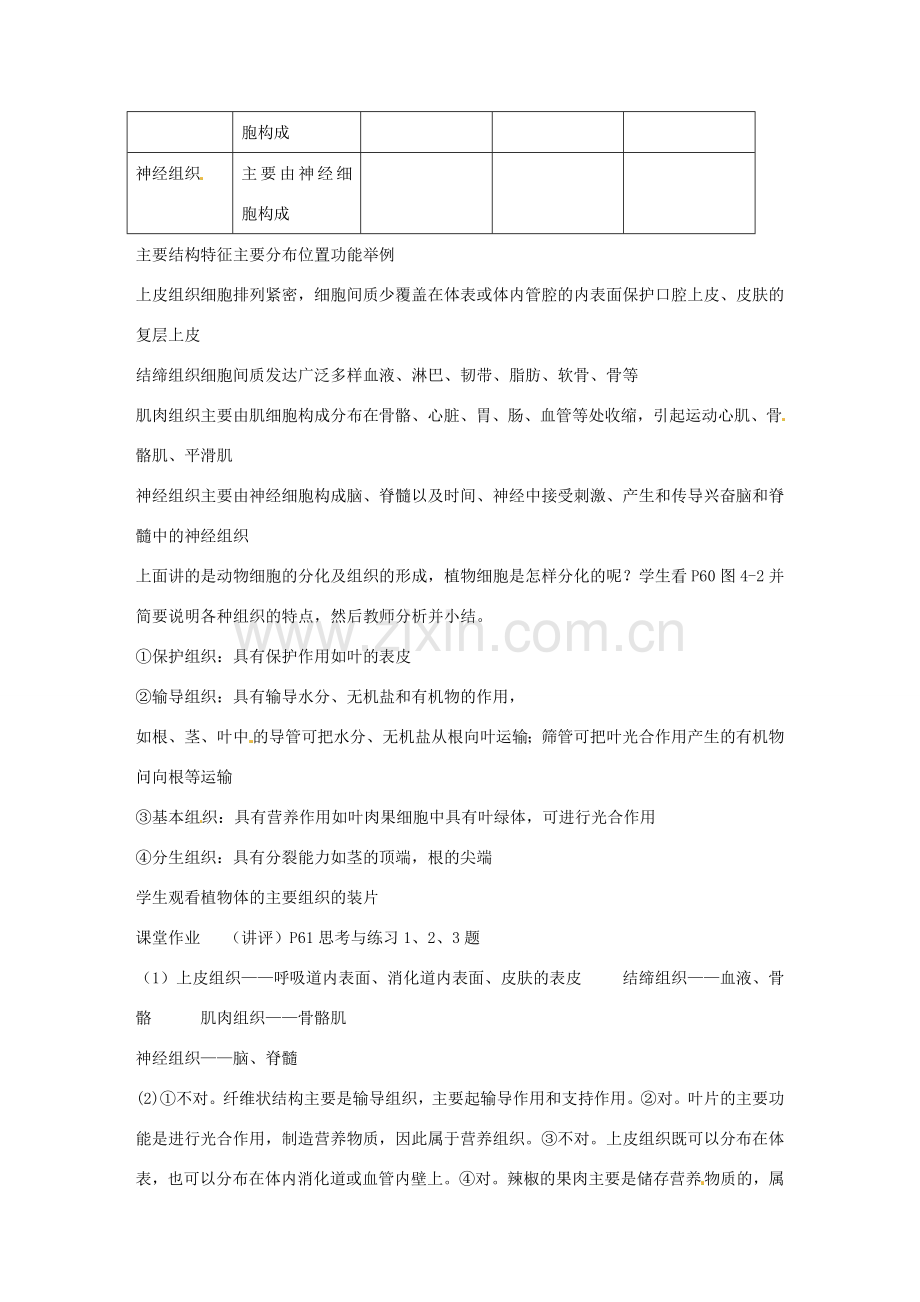 七年级生物上册 4.1 细胞分化形成组织教案 北师大版-北师大版初中七年级上册生物教案.doc_第3页