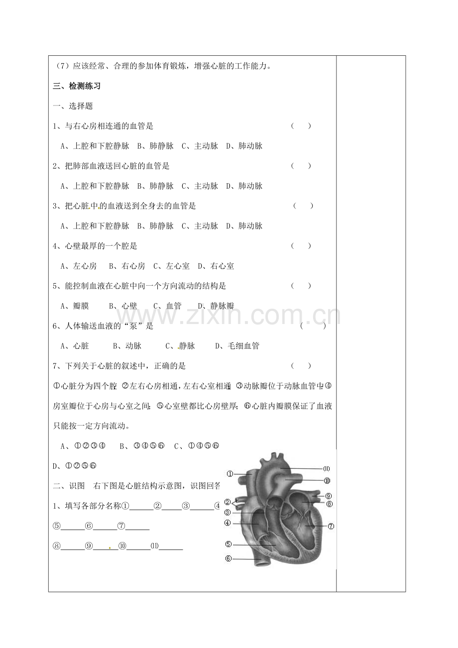 江苏省赣榆县汇文双语学校八年级生物上册《第一节 人体内物质的运输 第二课时 心脏》教案 人教新课标版.doc_第3页