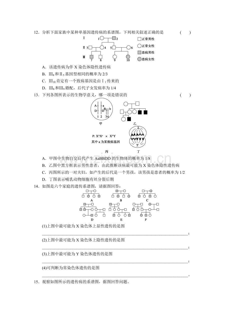 第二章训练12.doc_第3页