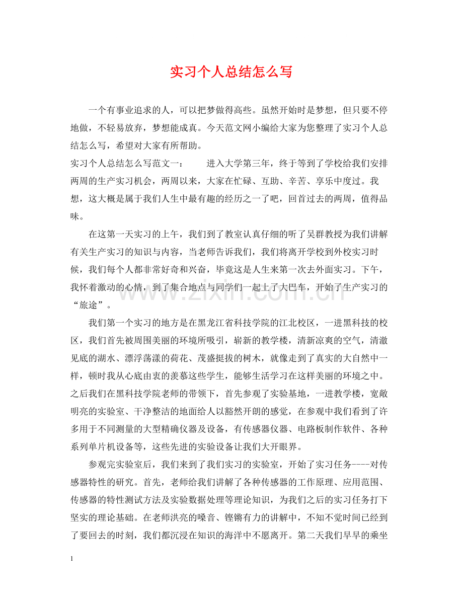 实习个人总结怎么写.docx_第1页