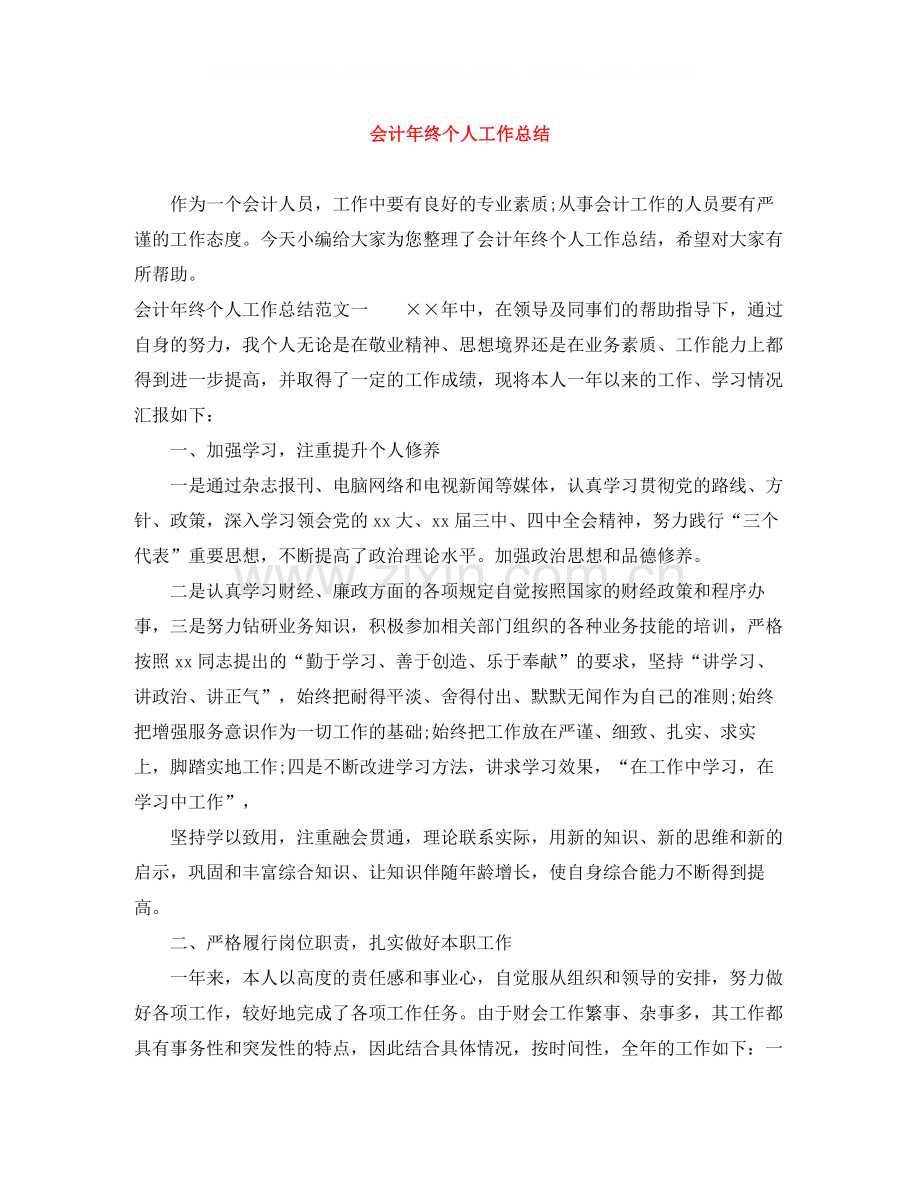 会计年终个人工作总结.docx_第1页