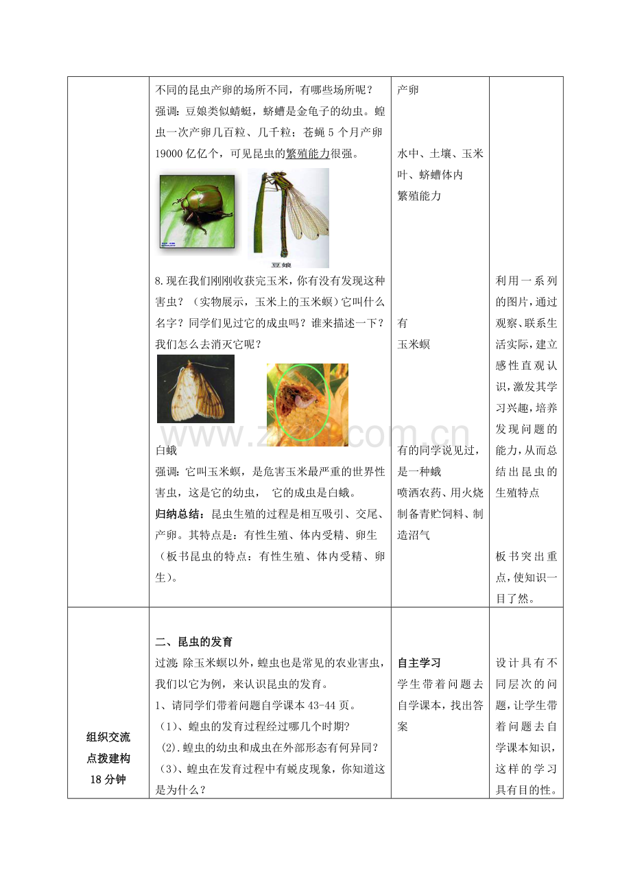 山东省枣庄市峄城区吴林街道中学八年级生物上册 第四单元 第二章 第一节 昆虫的生殖和发育教案 济南版.doc_第3页