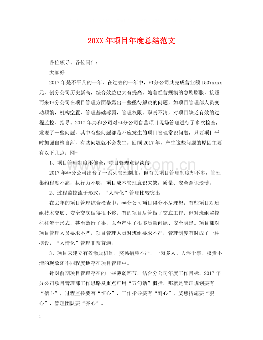 项目年度总结范文2.docx_第1页