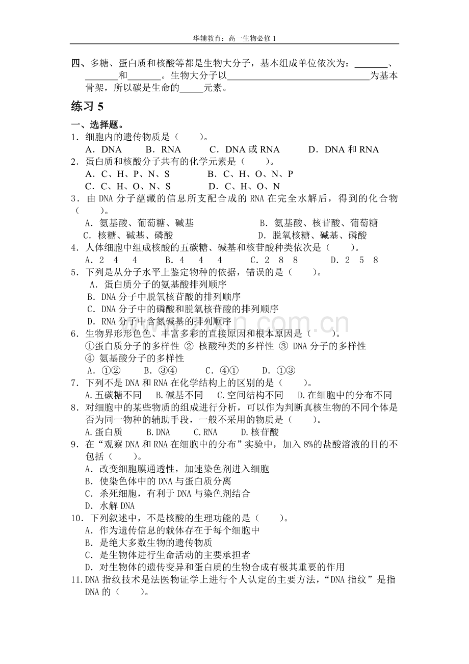 核酸、糖类及脂质.doc_第2页