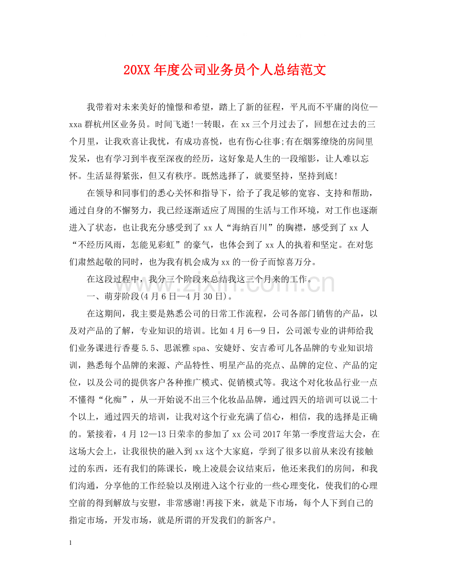 公司业务员个人总结范文.docx_第1页