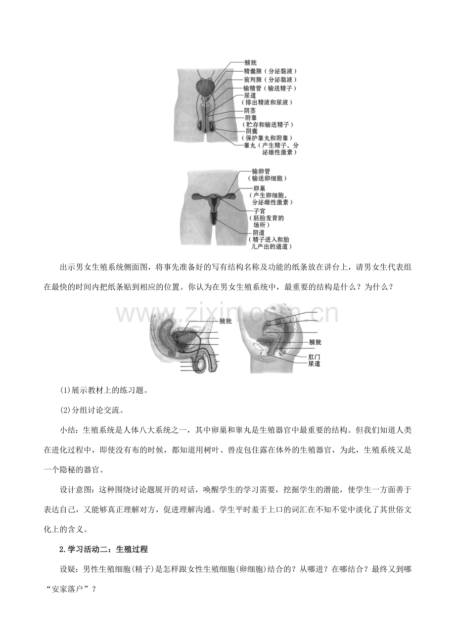 版七年级生物下册 第四单元 生物圈中的人 第一章 人的由来 4.1.2 人的生殖教案 新人教版-新人教版初中七年级下册生物教案.doc_第2页