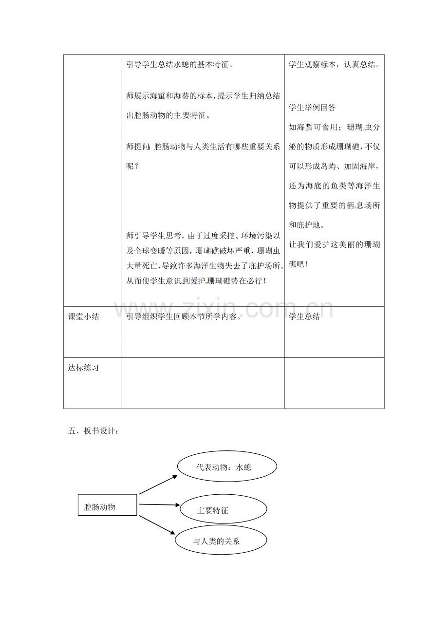 八年级生物上册 第五单元 第一章 第一节 腔肠动物和扁形动物《腔肠动物》教案 （新版）新人教版-（新版）新人教版初中八年级上册生物教案.doc_第3页