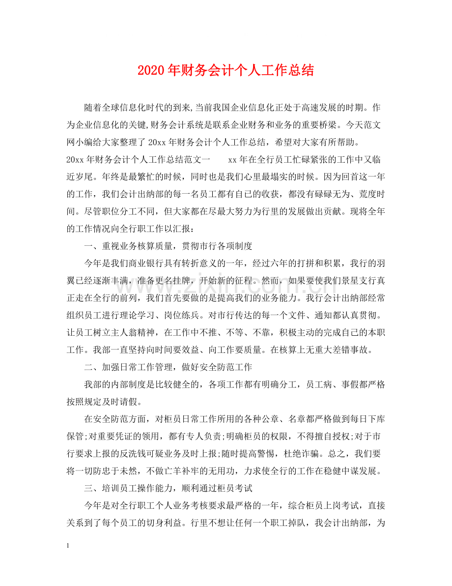 2020年财务会计个人工作总结.docx_第1页