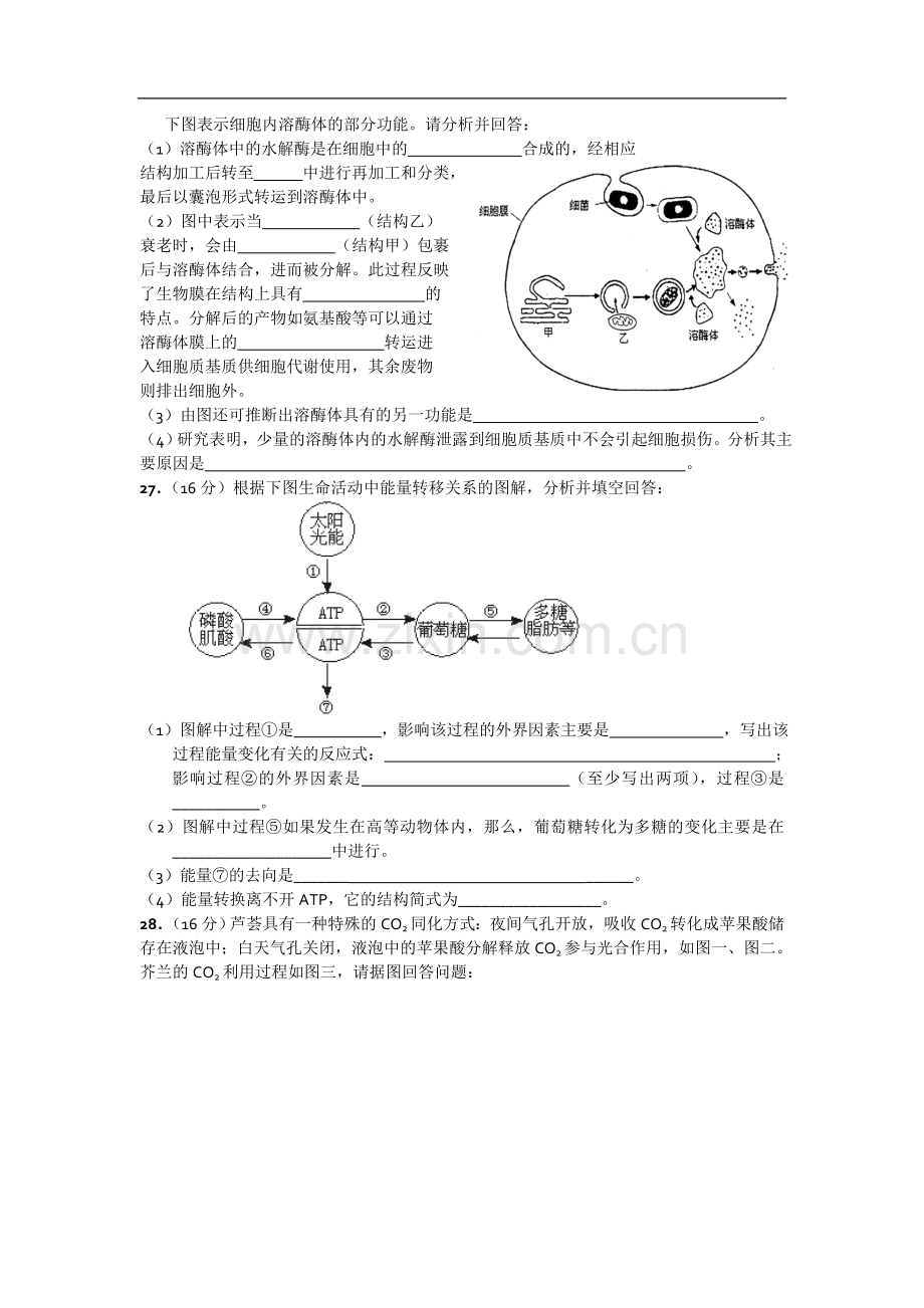 广东省潮阳一中明光学校2012届高三入学测试题生物.doc_第2页