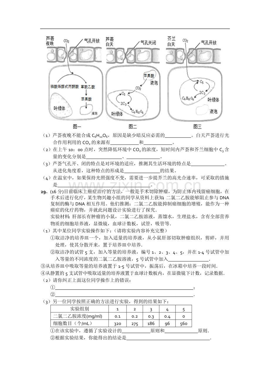 广东省潮阳一中明光学校2012届高三入学测试题生物.doc_第3页