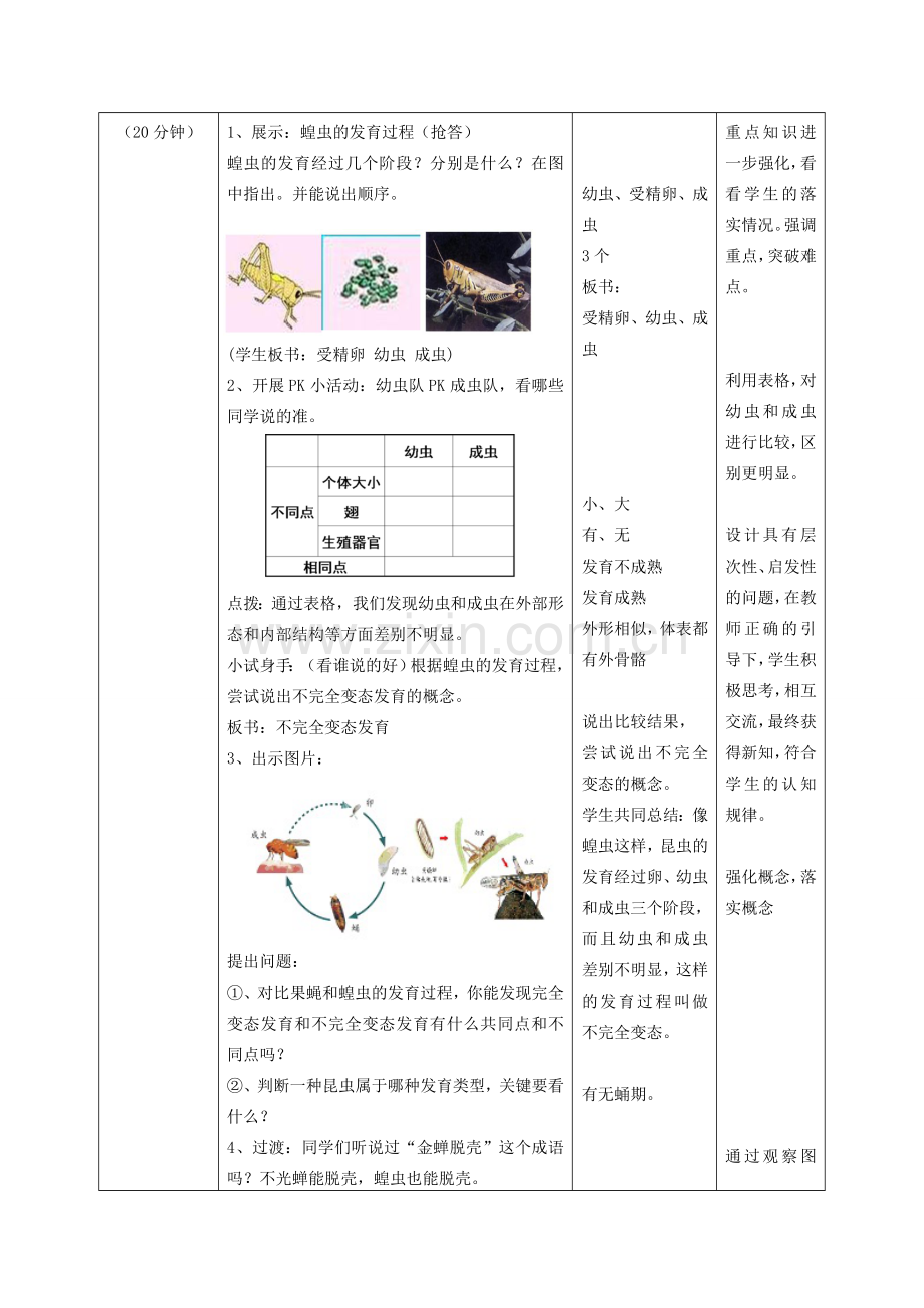 八年级生物上册 4.2.1《昆虫的生殖和发育》教案2 （新版）济南版-（新版）济南版初中八年级上册生物教案.doc_第3页