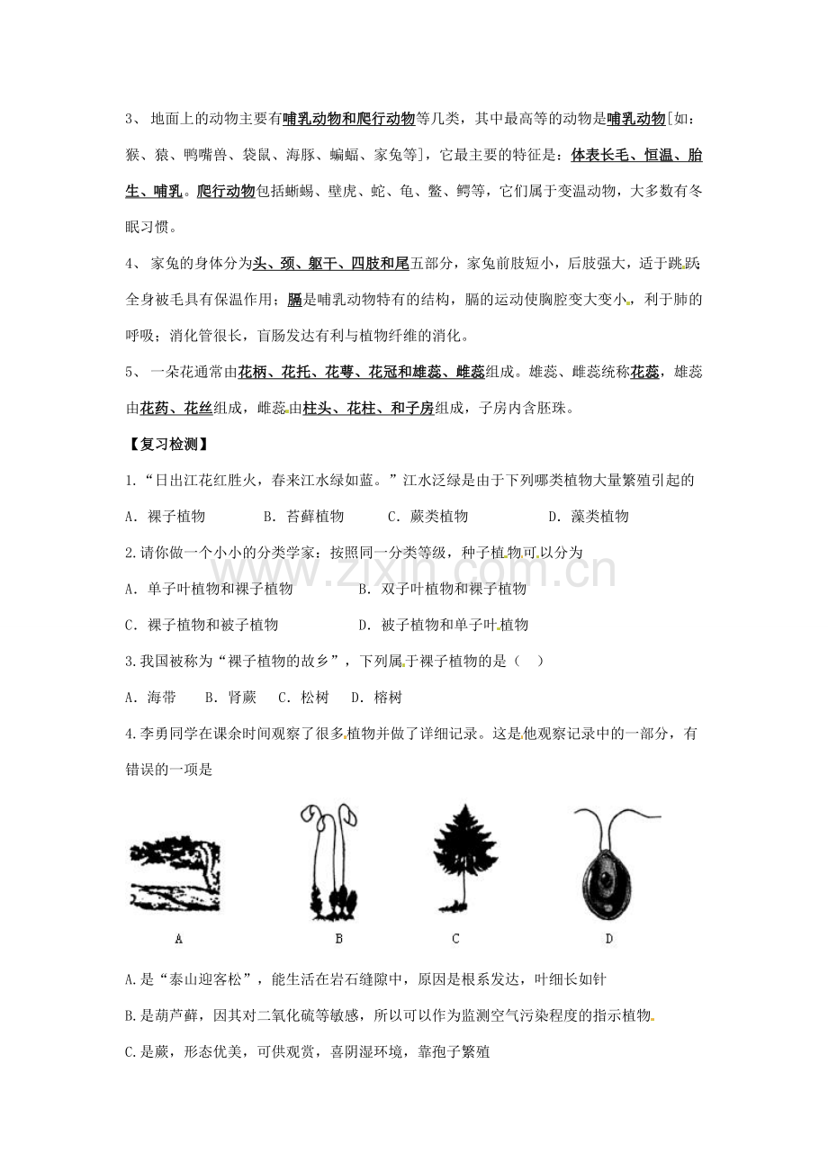 生物：第9章 地面上的生物 章复习教案（苏科版七年级下）.doc_第2页