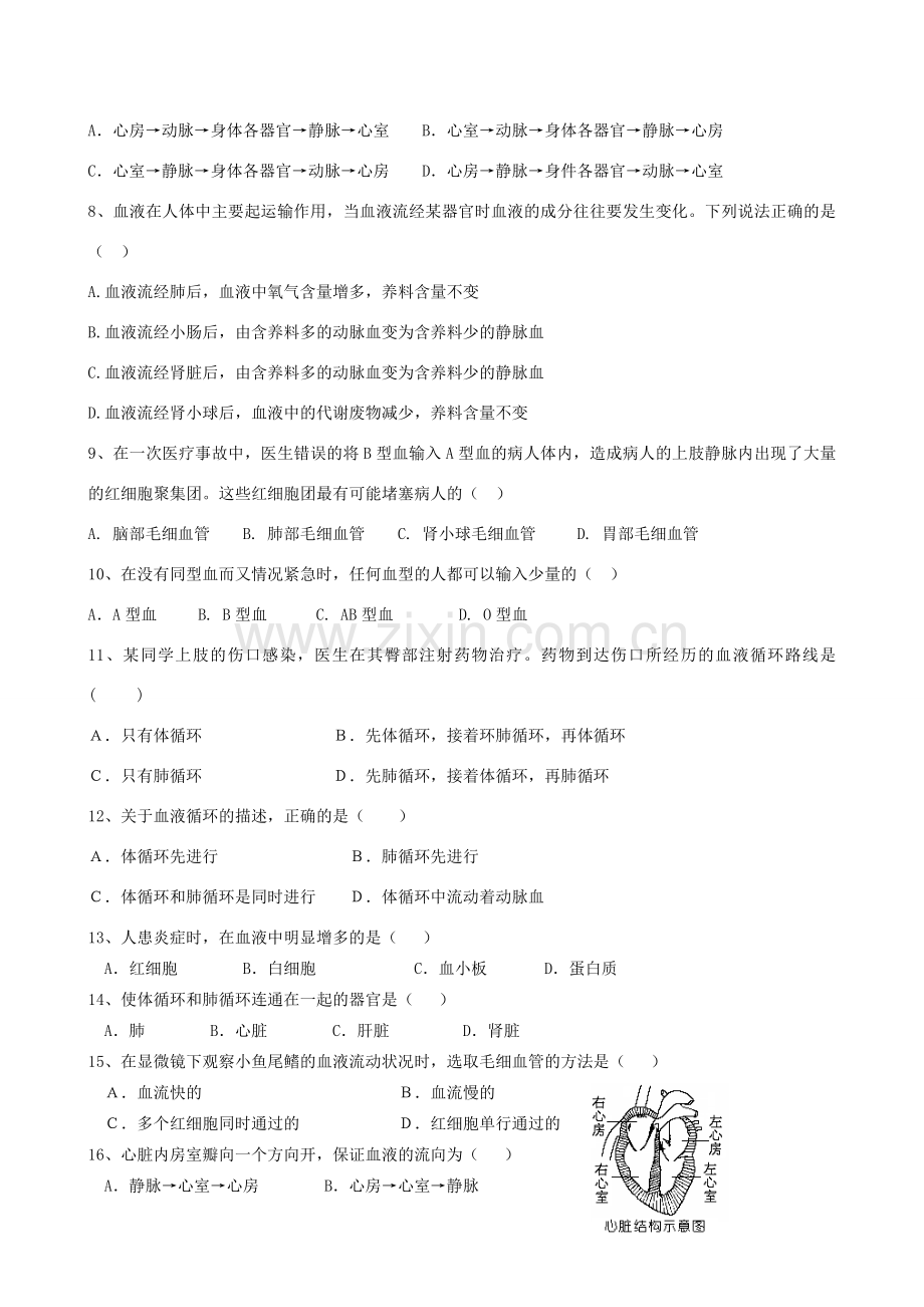 湖北省襄阳市第四十七中学九年级生物 考点十四 人体的物质运输教学案.doc_第3页