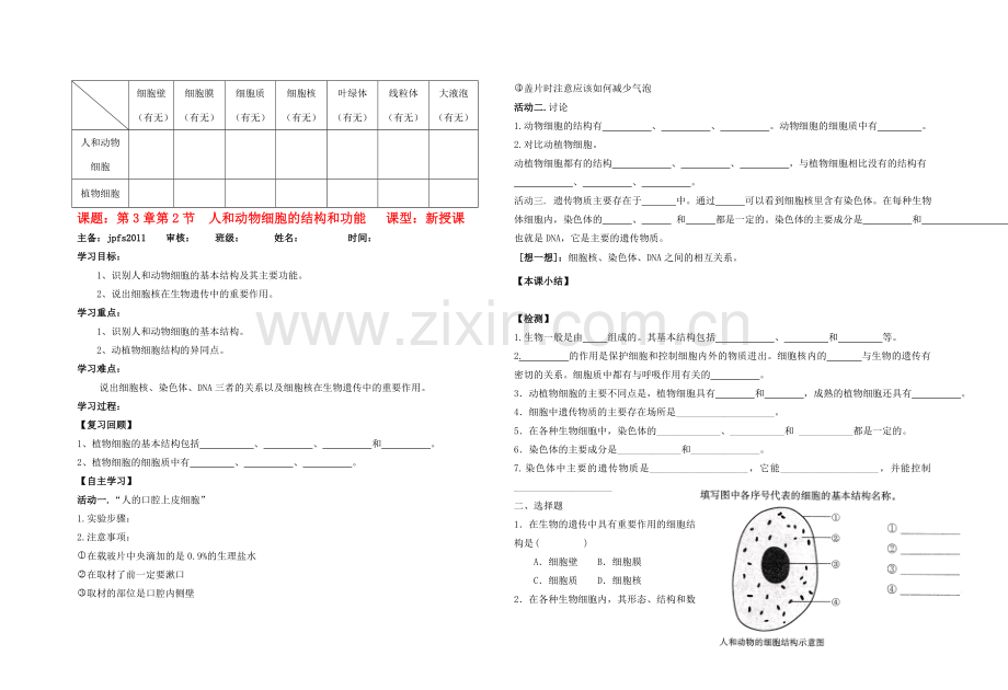 七年级生物上册 3章第2节 人和动物细胞的结构和功能教案 苏教版.doc_第1页