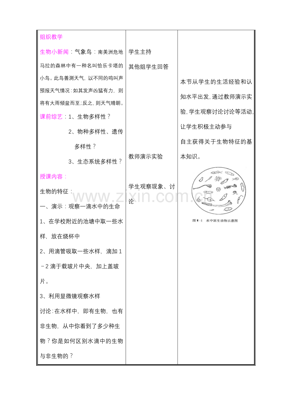 七年级生物上册 第一单元第一节形形色色的生物（二）教案 北师大版.doc_第2页