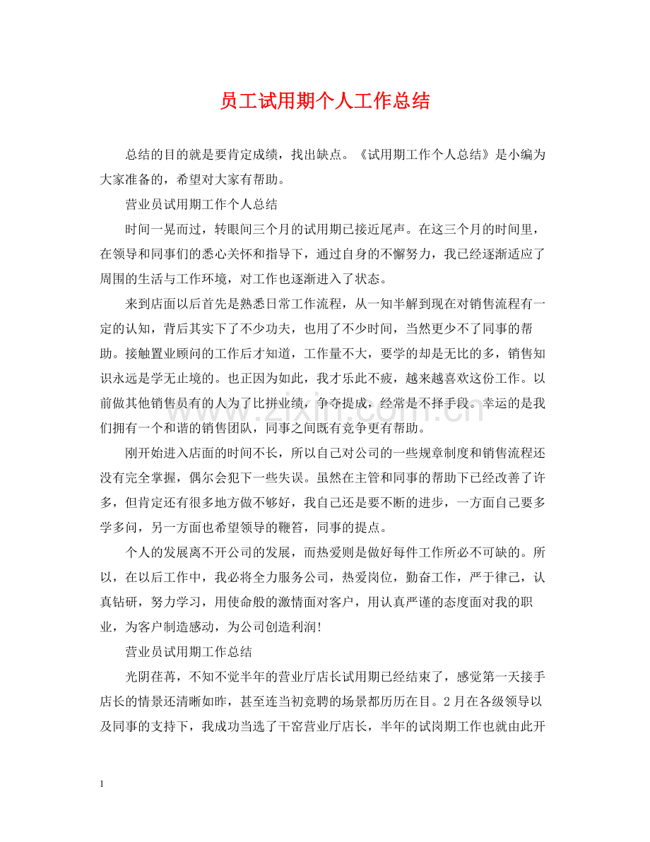 员工试用期个人工作总结2.docx_第1页