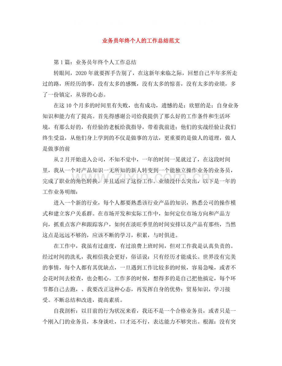 业务员年终个人的工作总结范文.docx_第1页