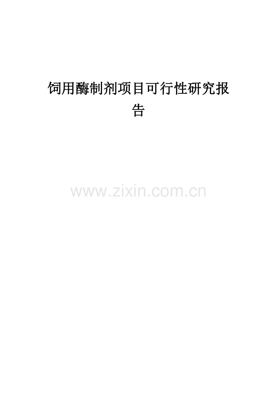 饲用酶制剂项目可行性研究报告.docx_第1页