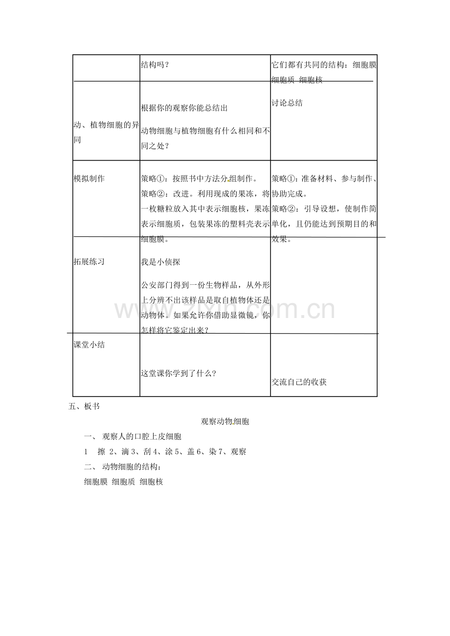 山东省龙口市诸由观镇诸由中学七年级生物上册 第二单元 第一章 第三节 观察动物细胞教案 新人教版.doc_第3页