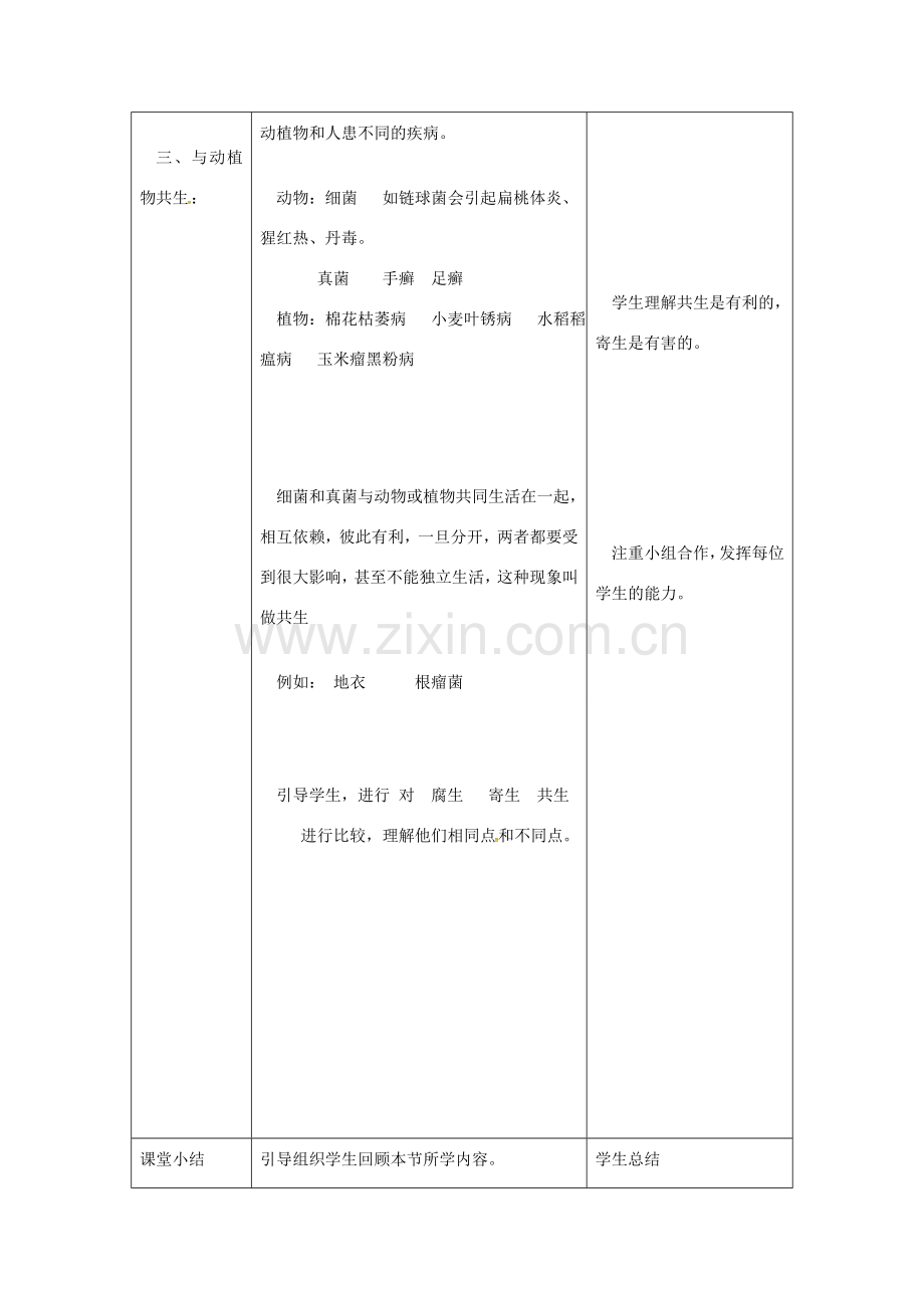 八年级生物上册 第五单元 第四章 第四节《细菌和准军在自然界中的作用》教案 （新版）新人教版-（新版）新人教版初中八年级上册生物教案.doc_第3页