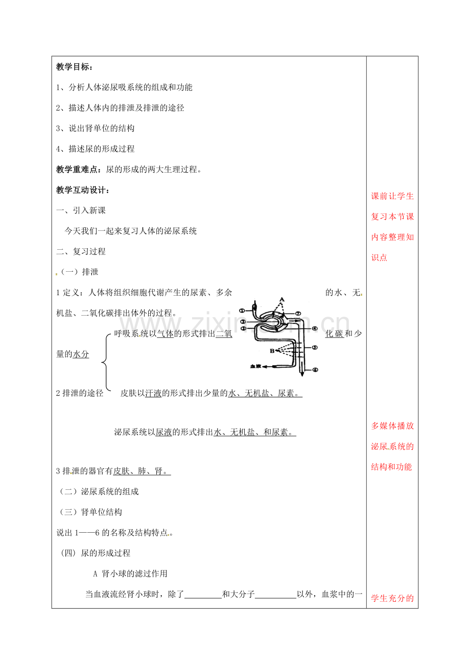 中考生物 人体的泌尿系统复习教案-人教版初中九年级全册生物教案.doc_第2页