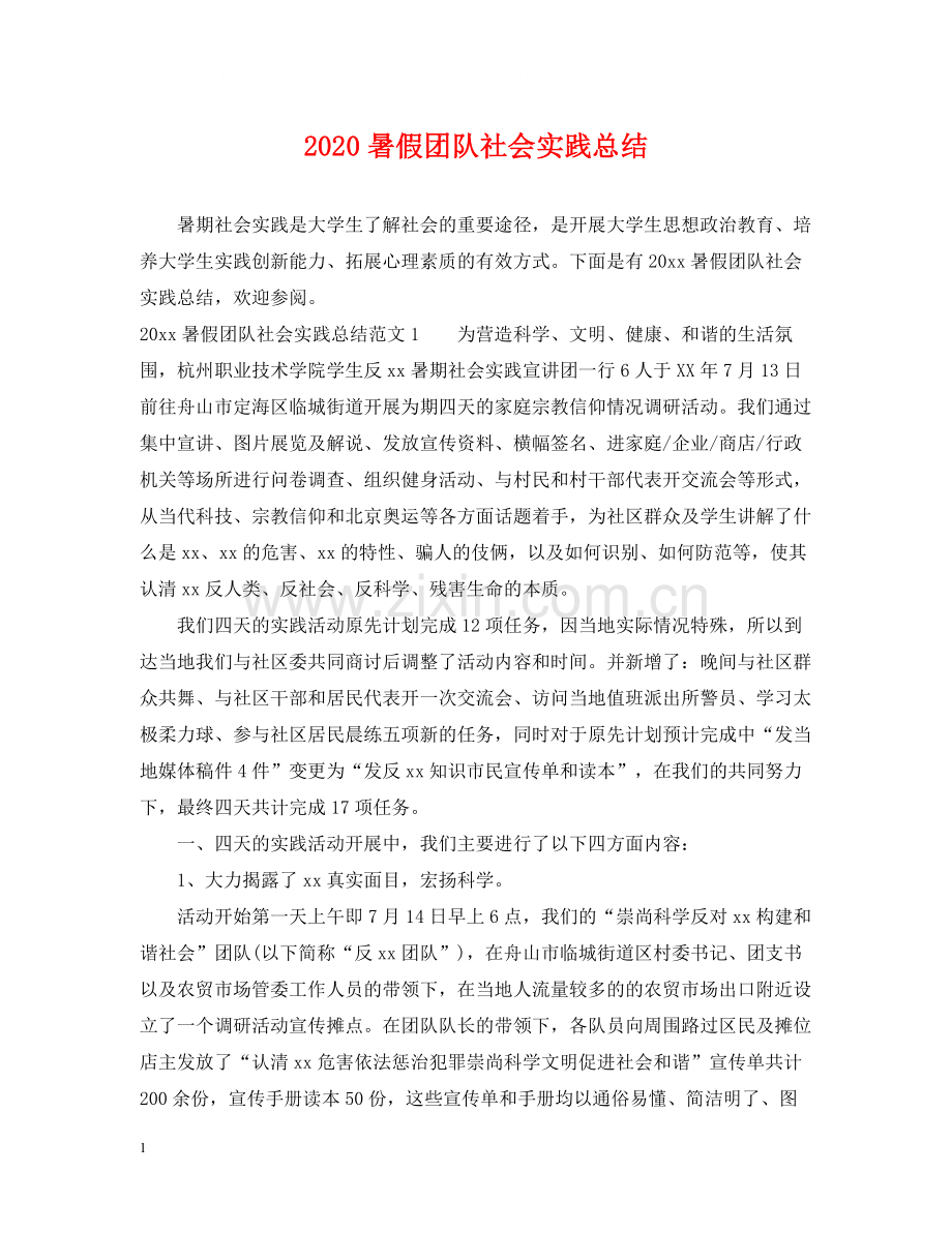 暑假团队社会实践总结.docx_第1页