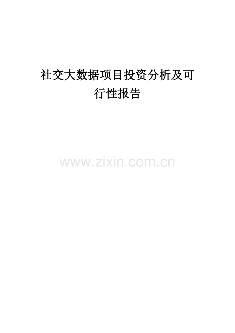 社交大数据项目投资分析及可行性报告.docx_第1页