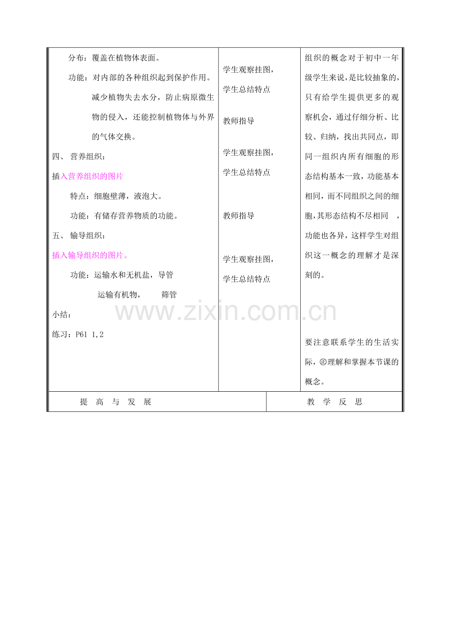 七年级生物上册《细胞分化形成组织》教案2 北师大版.doc_第3页