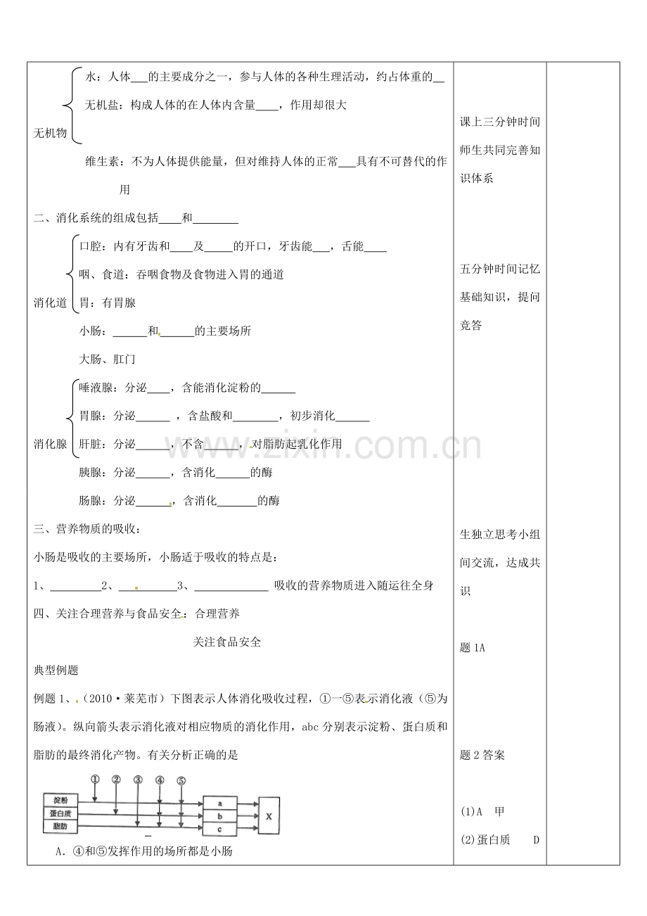 山东省郯城县第三初级中学中考生物《人体的营养》复习教案 新人教版.doc_第2页