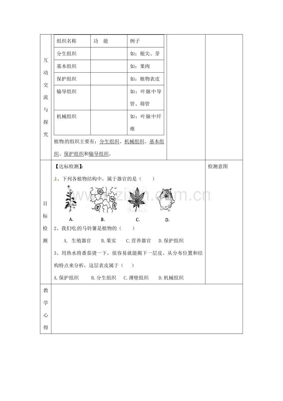 江苏省连云港东海县平明镇中学七年级生物下册 9.1 植物体的组成教案1 苏科版.doc_第2页